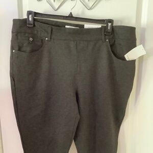 Woman’s plus size westbound size 22w r charcoal pant